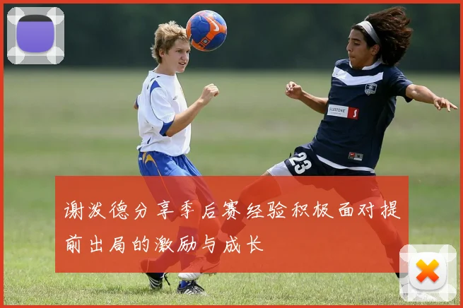 谢泼德分享季后赛经验积极面对提前出局的激励与成长