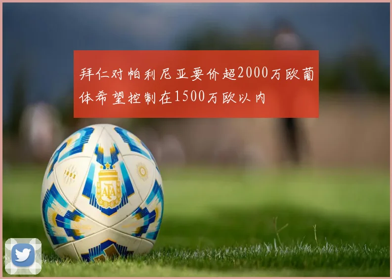 拜仁对帕利尼亚要价超2000万欧葡体希望控制在1500万欧以内