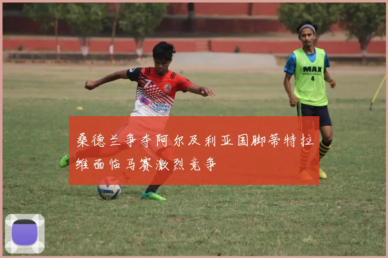 桑德兰争夺阿尔及利亚国脚蒂特拉维面临马赛激烈竞争