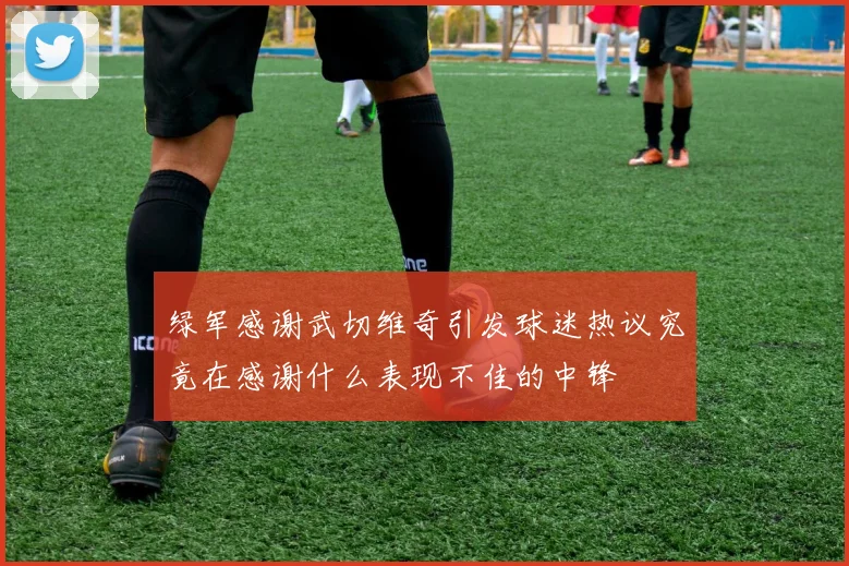 绿军感谢武切维奇引发球迷热议究竟在感谢什么表现不佳的中锋