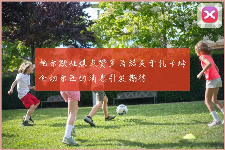帕尔默社媒点赞罗马诺关于扎卡转会切尔西的消息引发期待