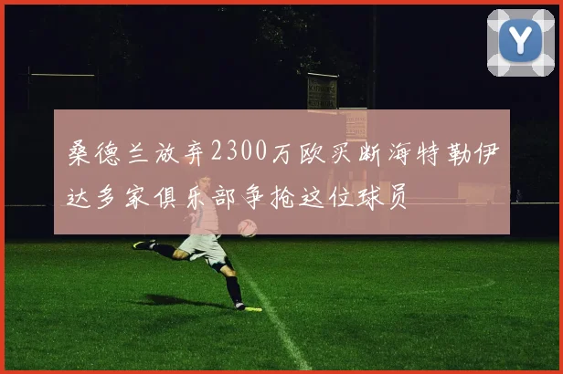 桑德兰放弃2300万欧买断海特勒伊达多家俱乐部争抢这位球员